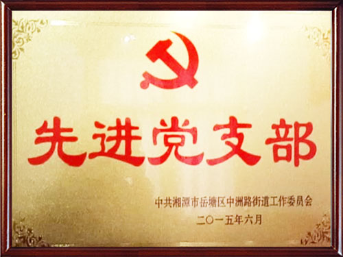 先進黨支部