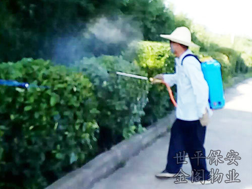 綠化維護(hù)